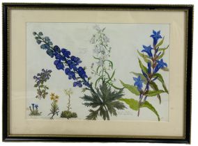 AN EARLY 19TH CENTURY WATERCOLOUR BY ALICE HENRIETTA HOPE (1823-1900) DEPICTING A BONATICAL VIEW,