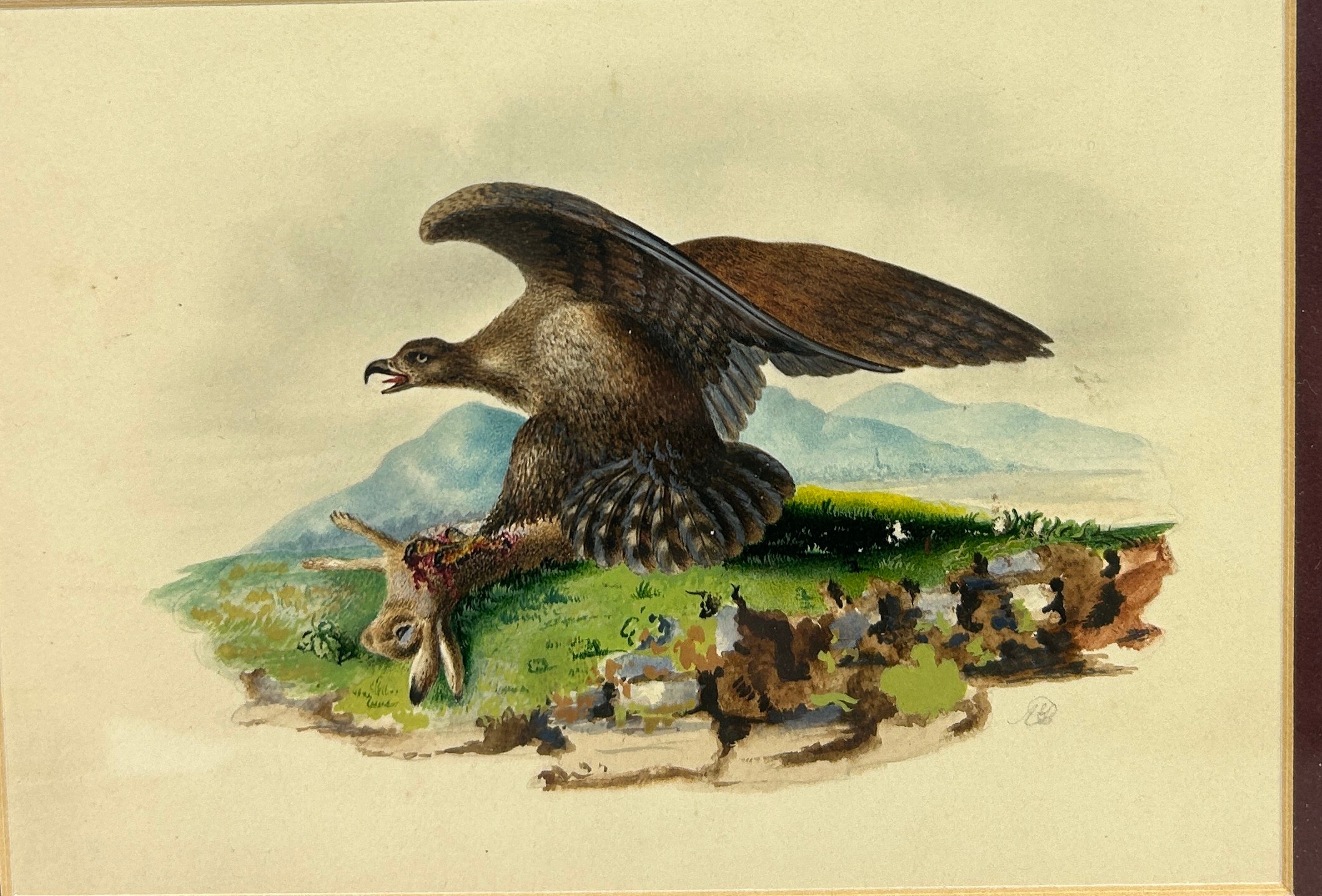 A 19TH CENTURY WATERCOLOUR ON PAPER PAINTING DEPICTING A GOLDEN EAGLE CATCHING A HARE, ALONG WITH AN - Image 2 of 3