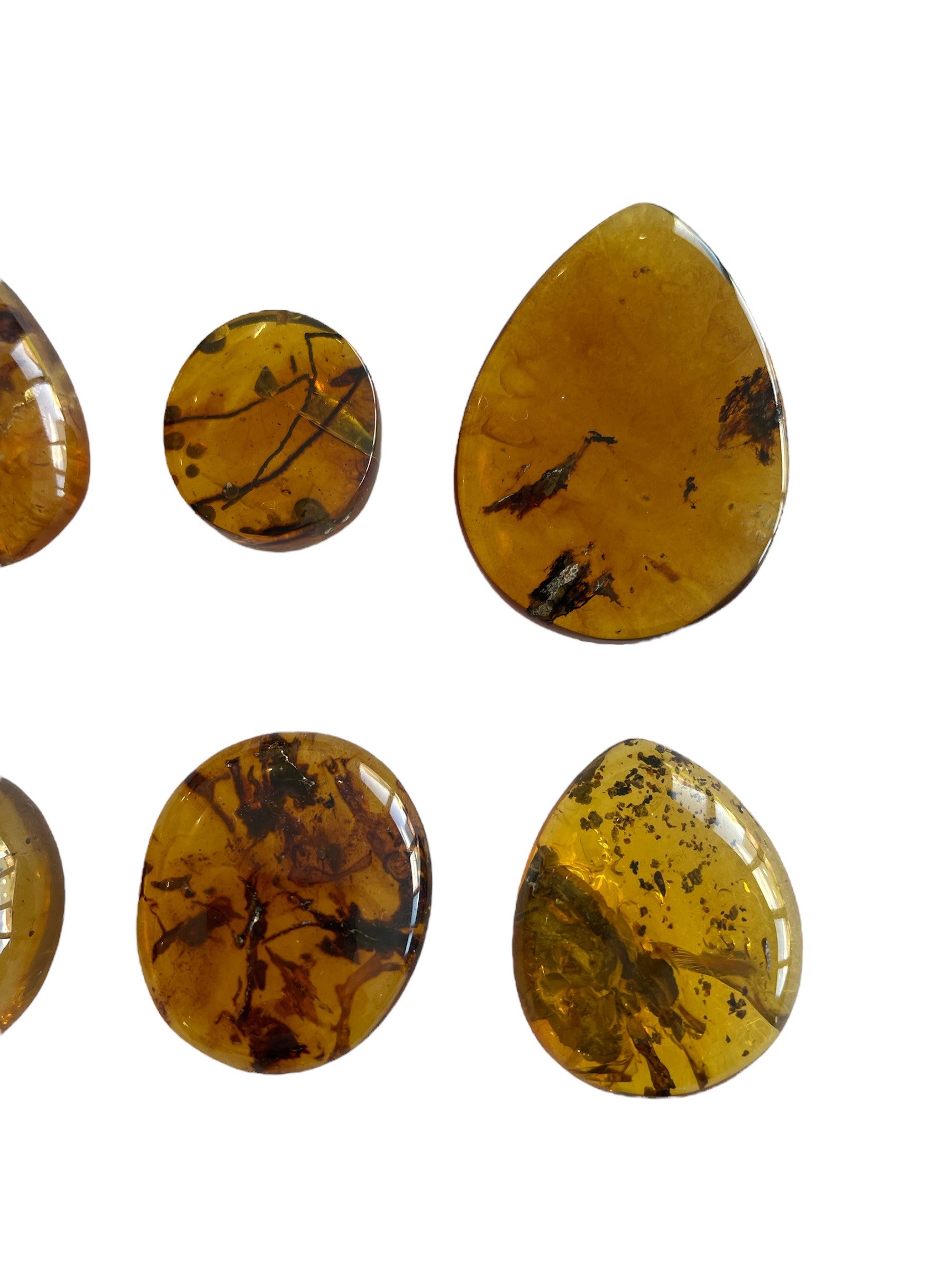 A GROUPING OF PLANT FOSSILS IN DINOSAUR AGED BURMESE AMBER A fantastic grouping of 12 botanical - Image 4 of 4
