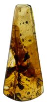A LARGE ANT FOSSIL IN DINOSAUR AGED BURMESE AMBER A very large ant, alongside other insect and plant
