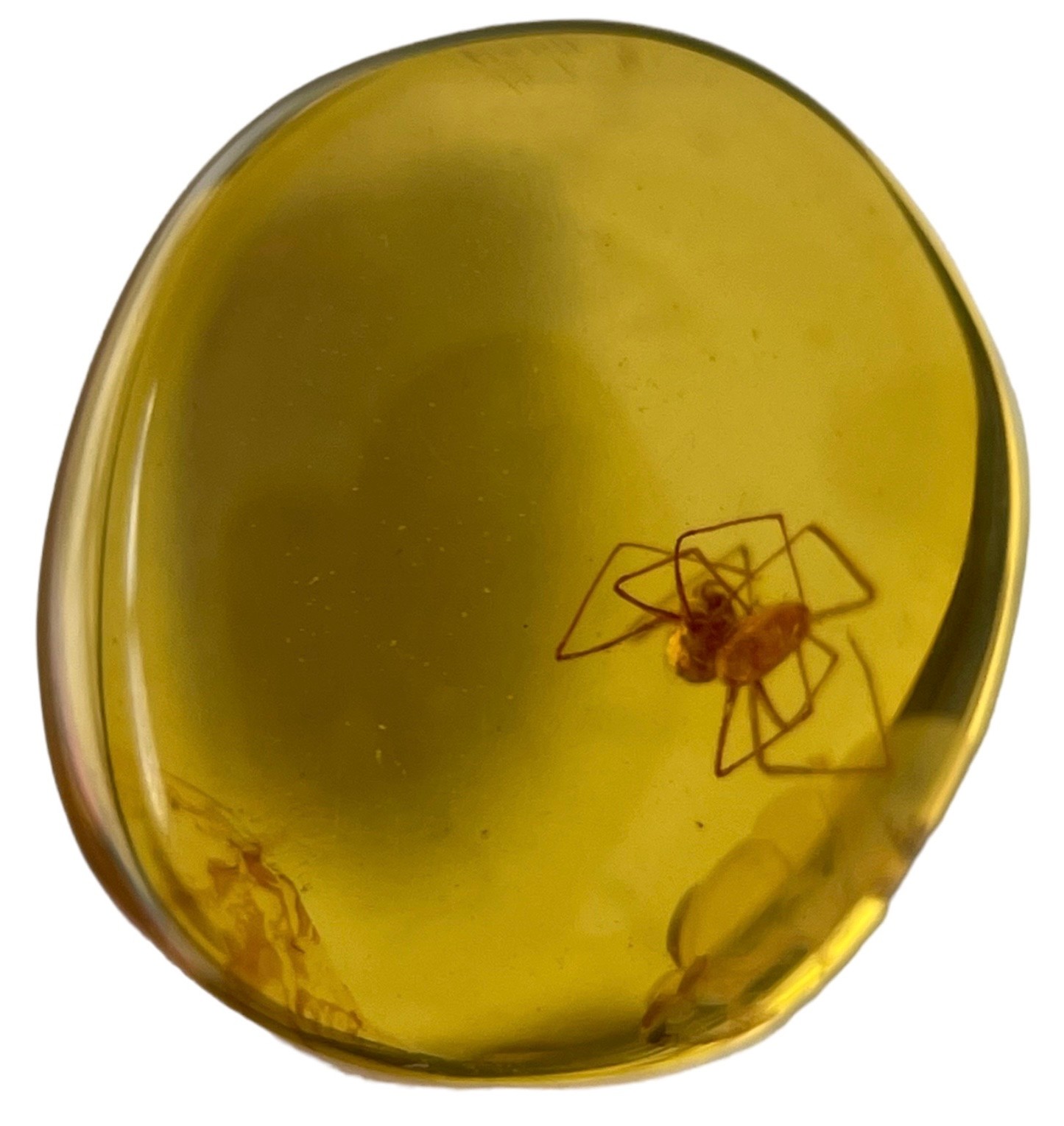 A SPIDER FOSSIL IN DINOSAUR AGED BURMESE AMBER A highly detailed spider in cretaceous amber. - Image 2 of 3