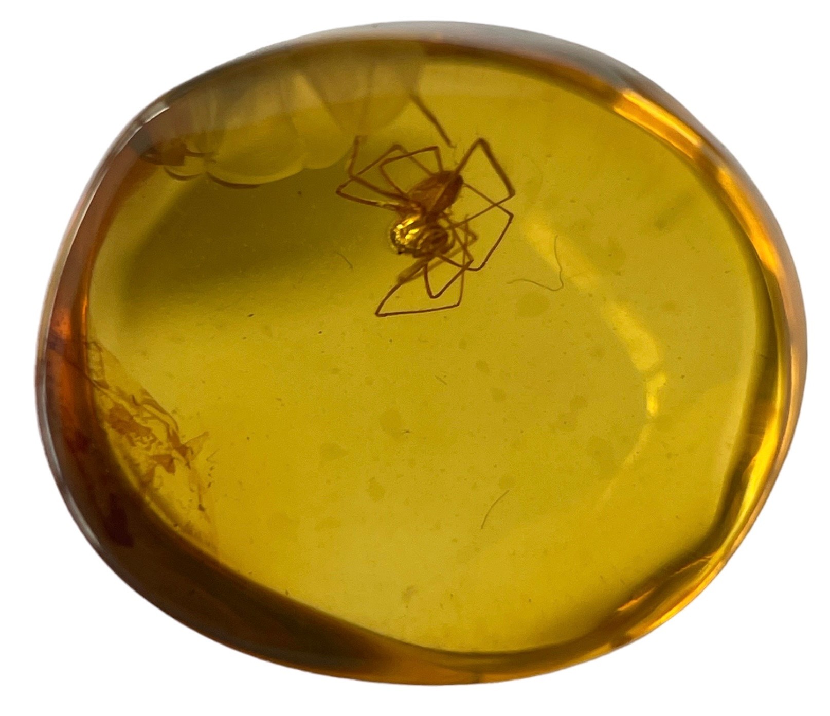 A SPIDER FOSSIL IN DINOSAUR AGED BURMESE AMBER A highly detailed spider in cretaceous amber. - Image 3 of 3