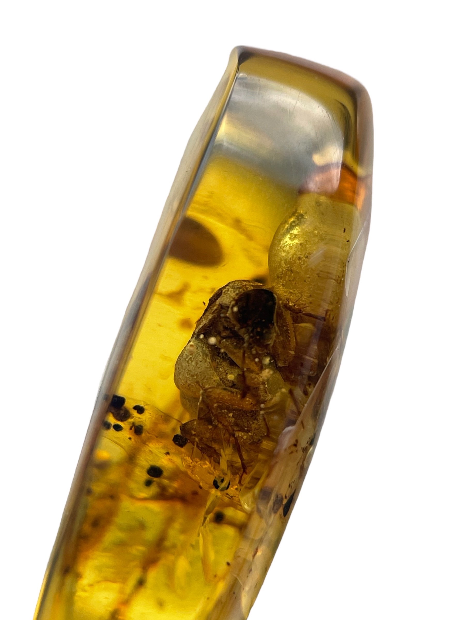 A FOSSIL BEETLE IN DINOSAUR AGED BURMESE AMBER This beetle exhibits excellent detail, from different - Image 4 of 5