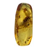 A FOSSIL BEETLE IN DINOSAUR AGED BURMESE AMBER This beetle exhibits excellent detail, from different