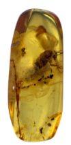 A FOSSIL BEETLE IN DINOSAUR AGED BURMESE AMBER This beetle exhibits excellent detail, from different