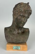 AFTER THE ANTIQUE: A CLASSICAL STYLE FAUX BRONZE PLASTER BUST OF A MAN'S HEAD, 25cm H 29.5cm