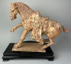 A CHINESE TANG STYLE TERRACOTTA HORSE WITH TRACES OF PIGMENT, 48cm x 38cm x 14cm Sitting on a wooden