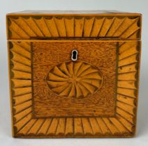 A REGENCY PERIOD INLAID SHERATON DESIGN PEAR WOOD AND SATINWOOD INLAID TEA CADDY WITH MARQUETRY