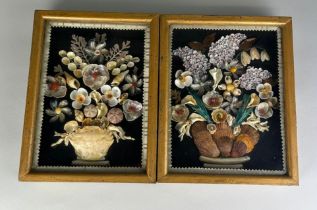 A PAIR OF FRENCH FRAMED SHELL DISPLAYS, 27cm x 20cm each.