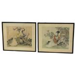 A PAIR OF CHINESE WATERCOLOURS, 36cm x 30cm each. Mounted in frames and glazed. 49cm x 42cm