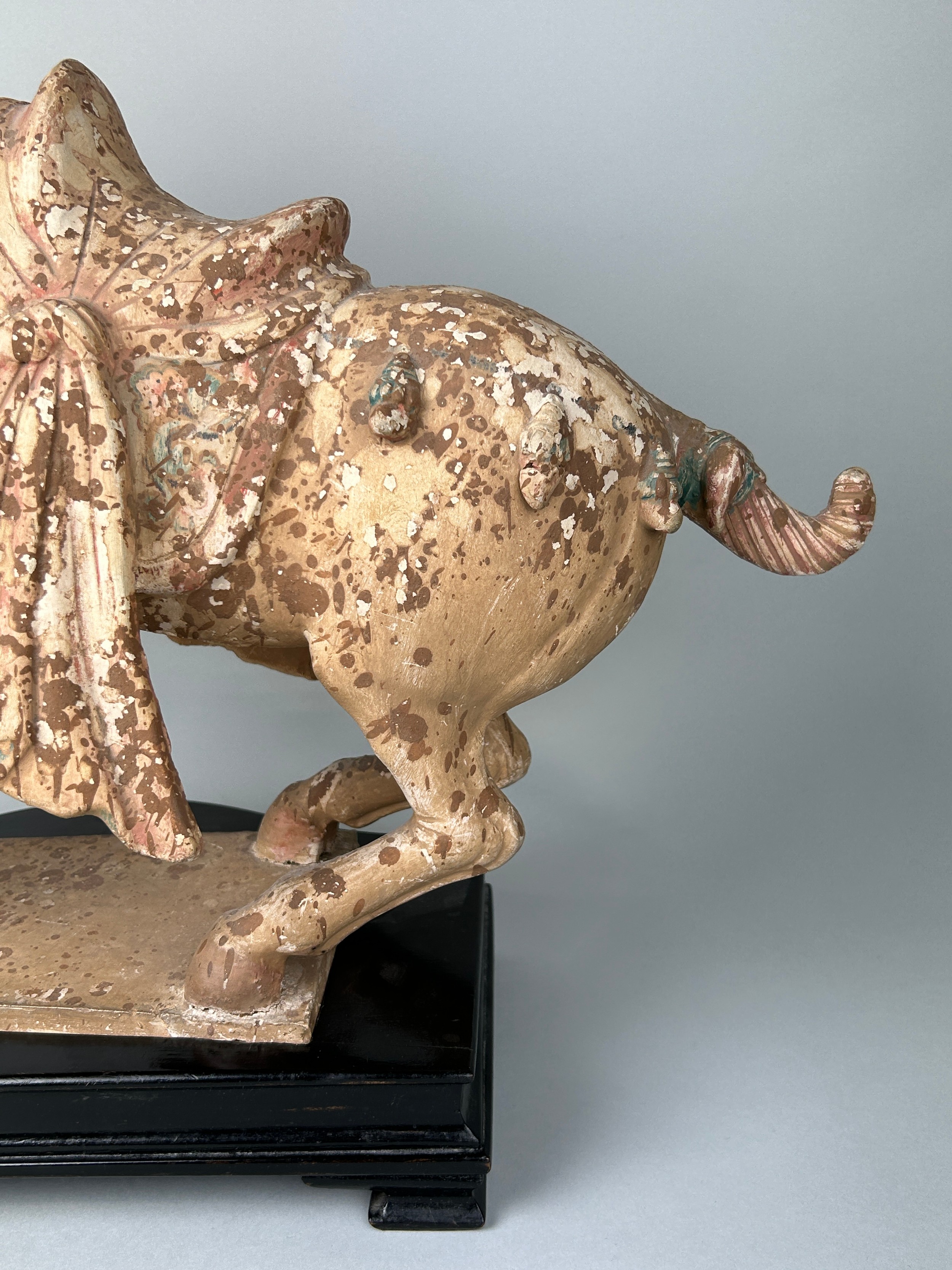 A CHINESE TANG STYLE TERRACOTTA HORSE WITH TRACES OF PIGMENT, 48cm x 38cm x 14cm Sitting on a wooden - Image 4 of 10