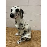 A ceramic dog of a dalmatian (H49cm)