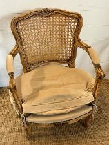A French style Louis chair with a cane back
