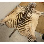 Zebra skin rug (282cm x 180cm)