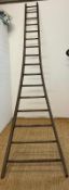 A tall reclaimed fruit picking ladder (H372cm)