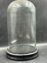 A small desk top glass dome on plinth. Height 27