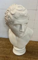 A bust of a Greek god