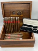 A cigar humidor with twelve Filipinas cigars (H13cm W28cm D21cm)