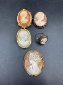 A selection of Cameo jewellery to include rolled gold setting brooch, Hollywood branded brooch,