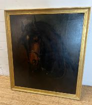 An oil on canvas of an animal portrait of a bay horse, unsigned (Frame size 90cm x 100cm)