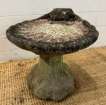 A concrete shell shaped garden bird bath (H40cm Dia37cm)