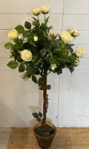 A faux rose bush (H120cm)