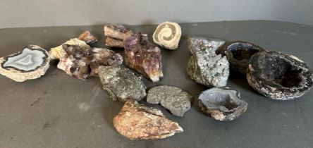 A selection of crystal and mineral specimens