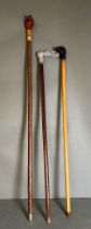 Three wooden walking sticks with carved animal head handles, two dogs and a squirrel