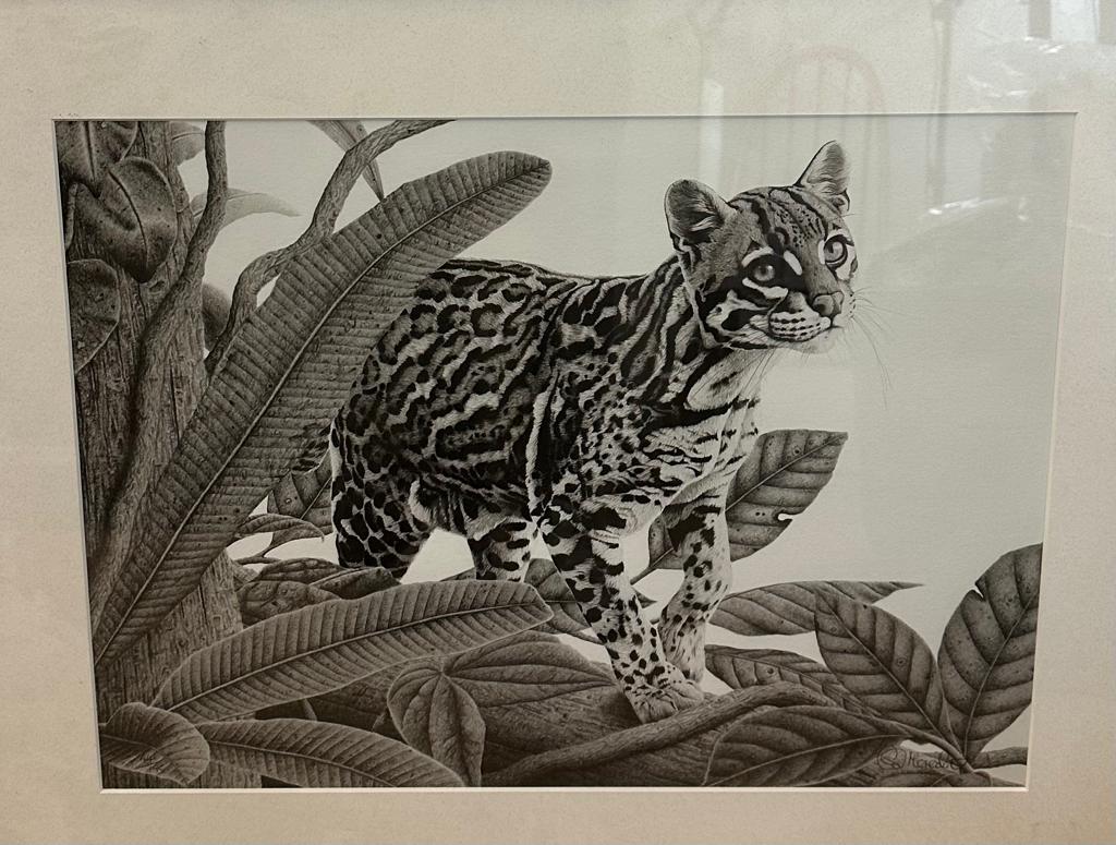 Three signed prints by Clive Mercoath of wildlife scenes - Image 4 of 6