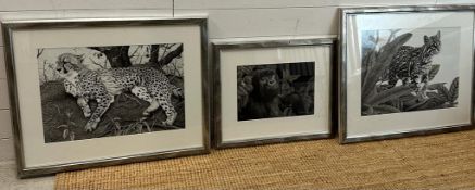 Three signed prints by Clive Mercoath of wildlife scenes