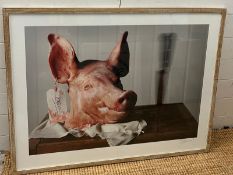 A signed framed print of Gordon The Pig, The pigs head sit on a butchers block with a swing tag "