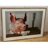 A signed framed print of Gordon The Pig, The pigs head sit on a butchers block with a swing tag "