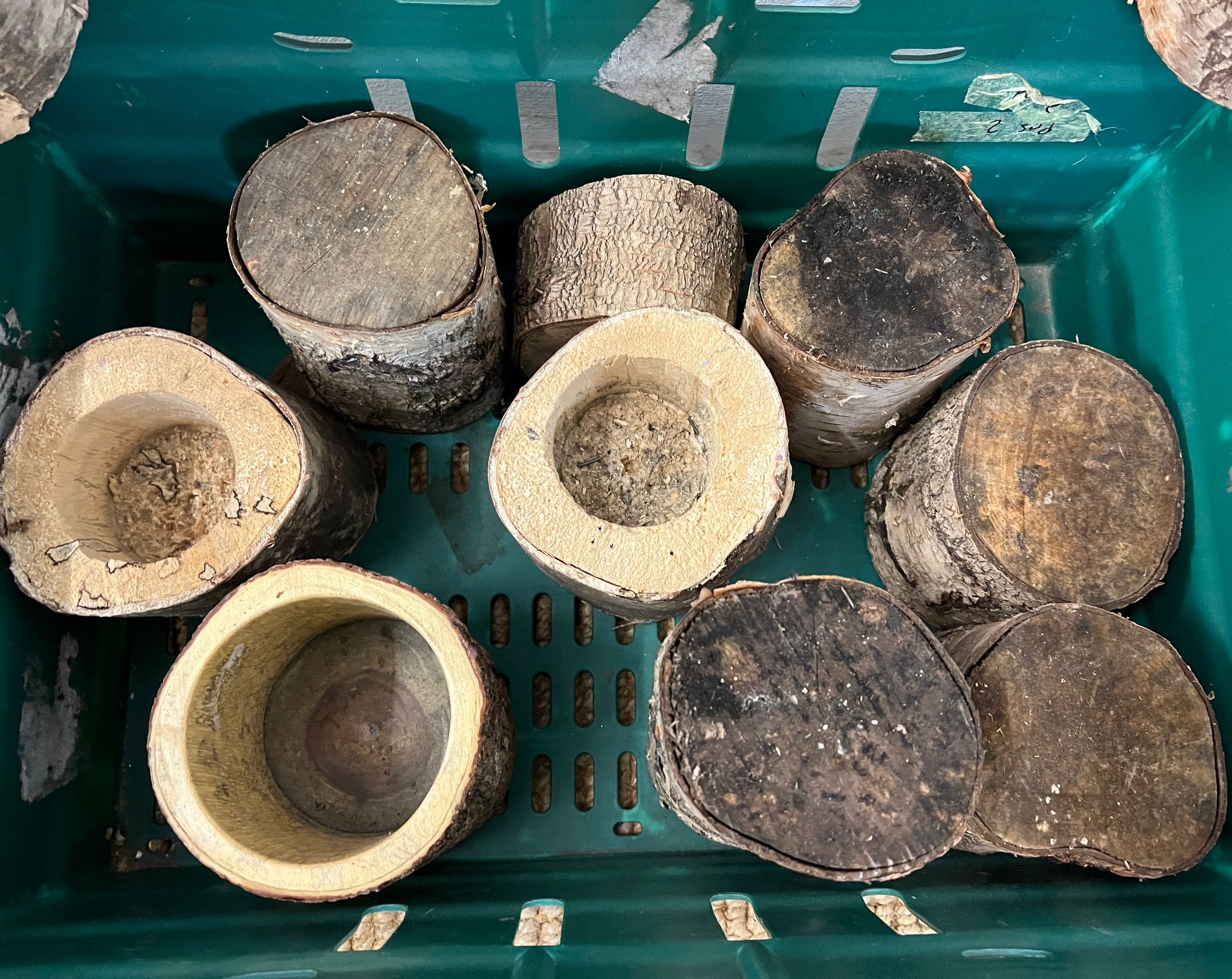 A selection of wooden rustic candle holders and logs - Image 3 of 3