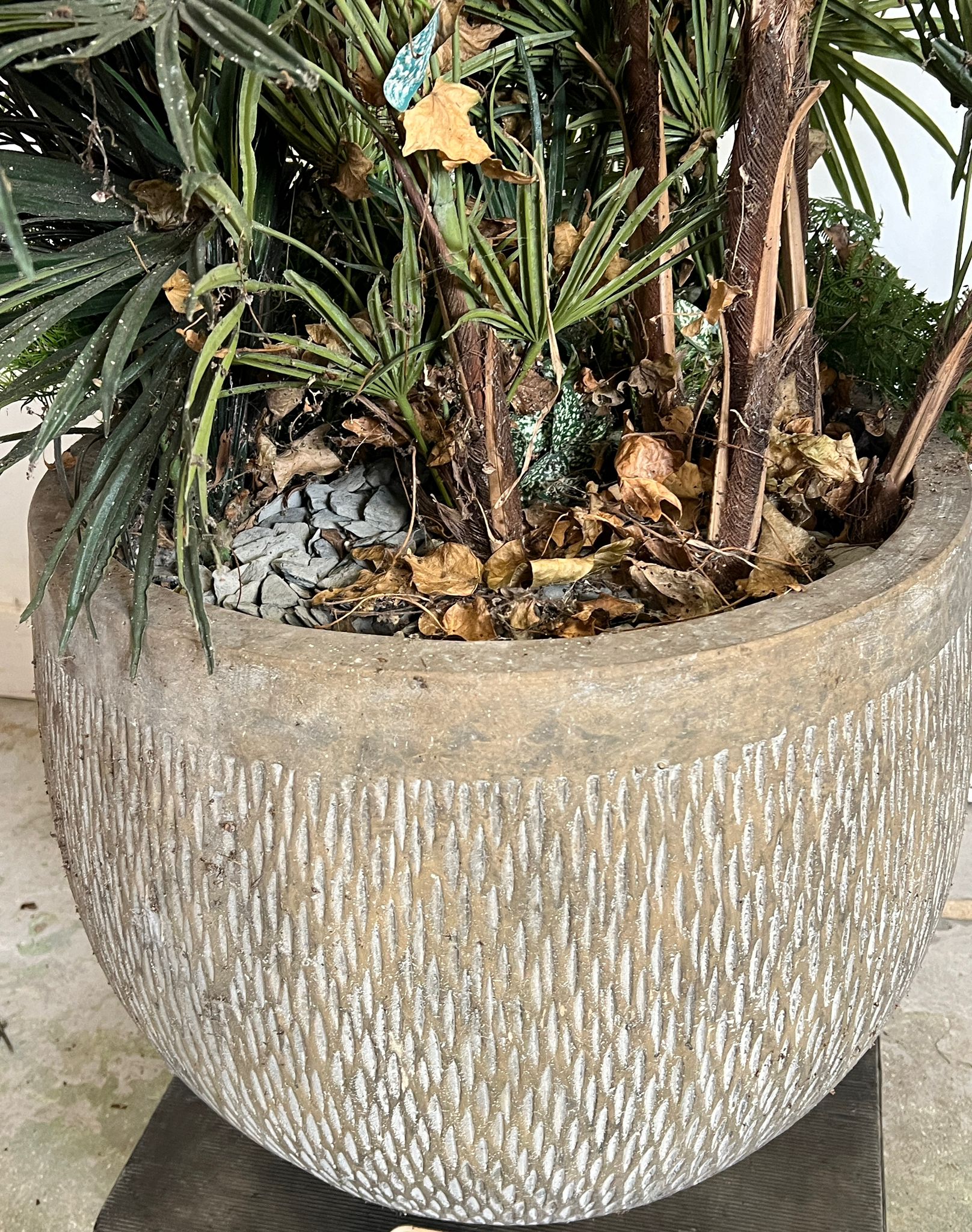An artificial palm and ivy plants in a ribbed pot (H50cm Dia58cm) - Image 2 of 2