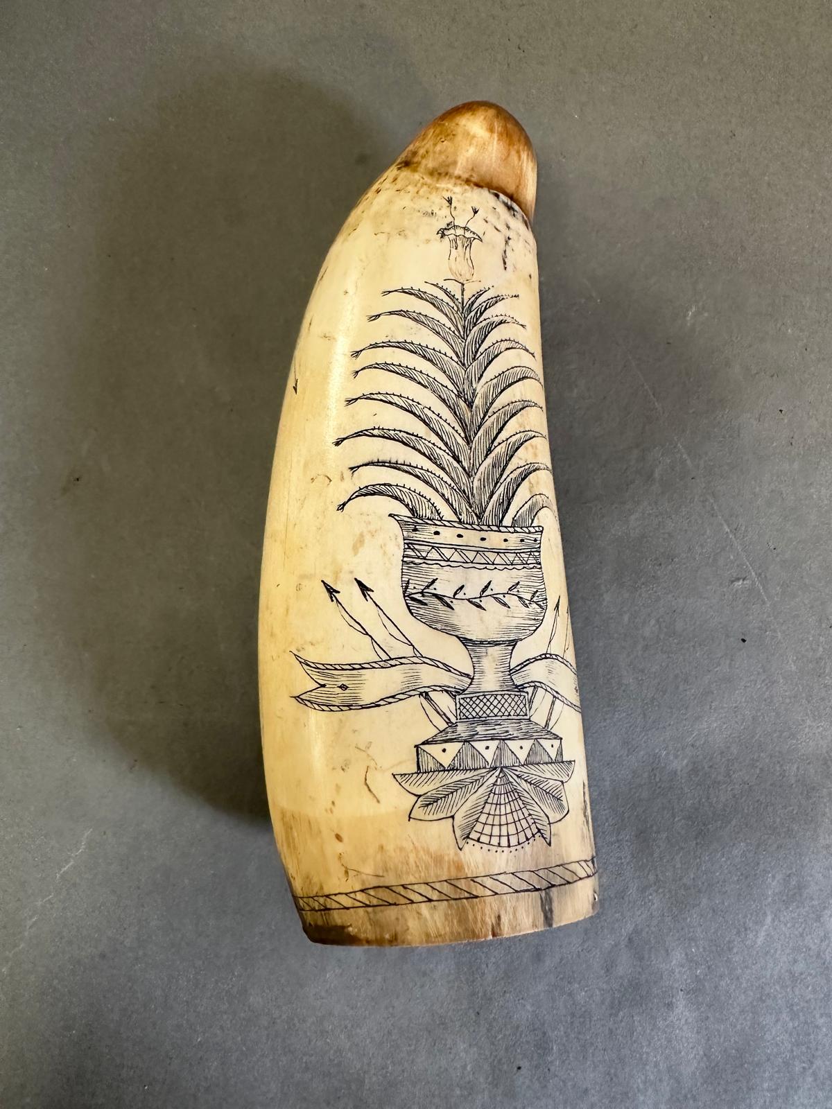 A Scrimshaw walrus tusk dated 1861 and with the Ship Tamar to one side and a planter to the other. - Image 2 of 2