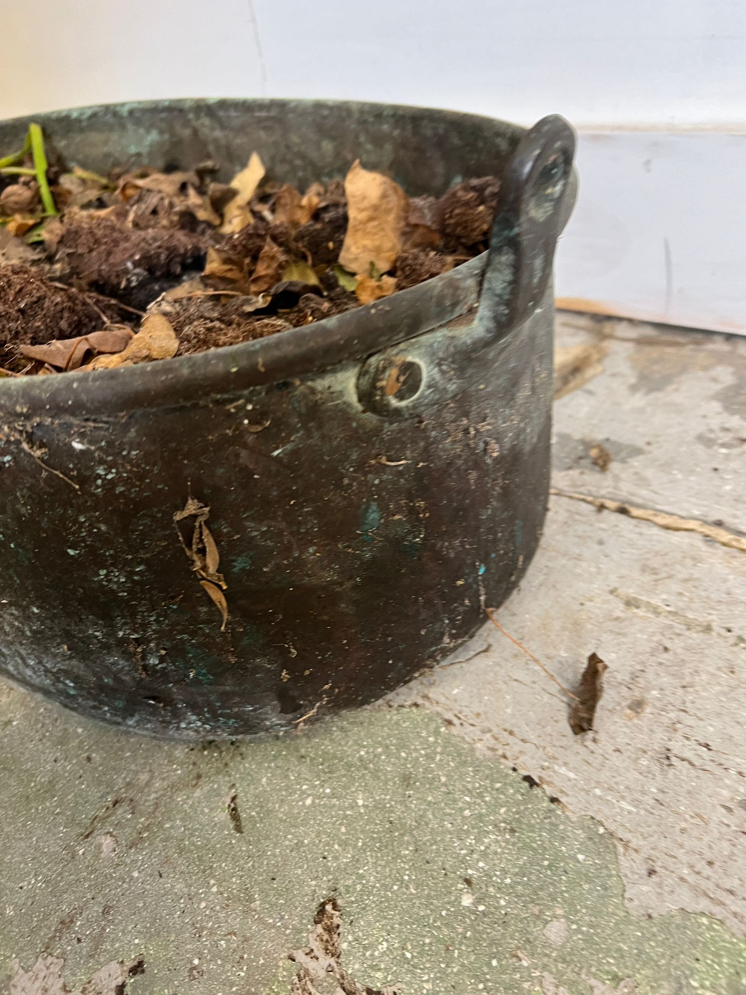 A weathered copper pan used as a planter (H20cm W60cm) - Image 3 of 4