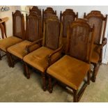 Six chairs and two carvers with cane back and velvet seat pads