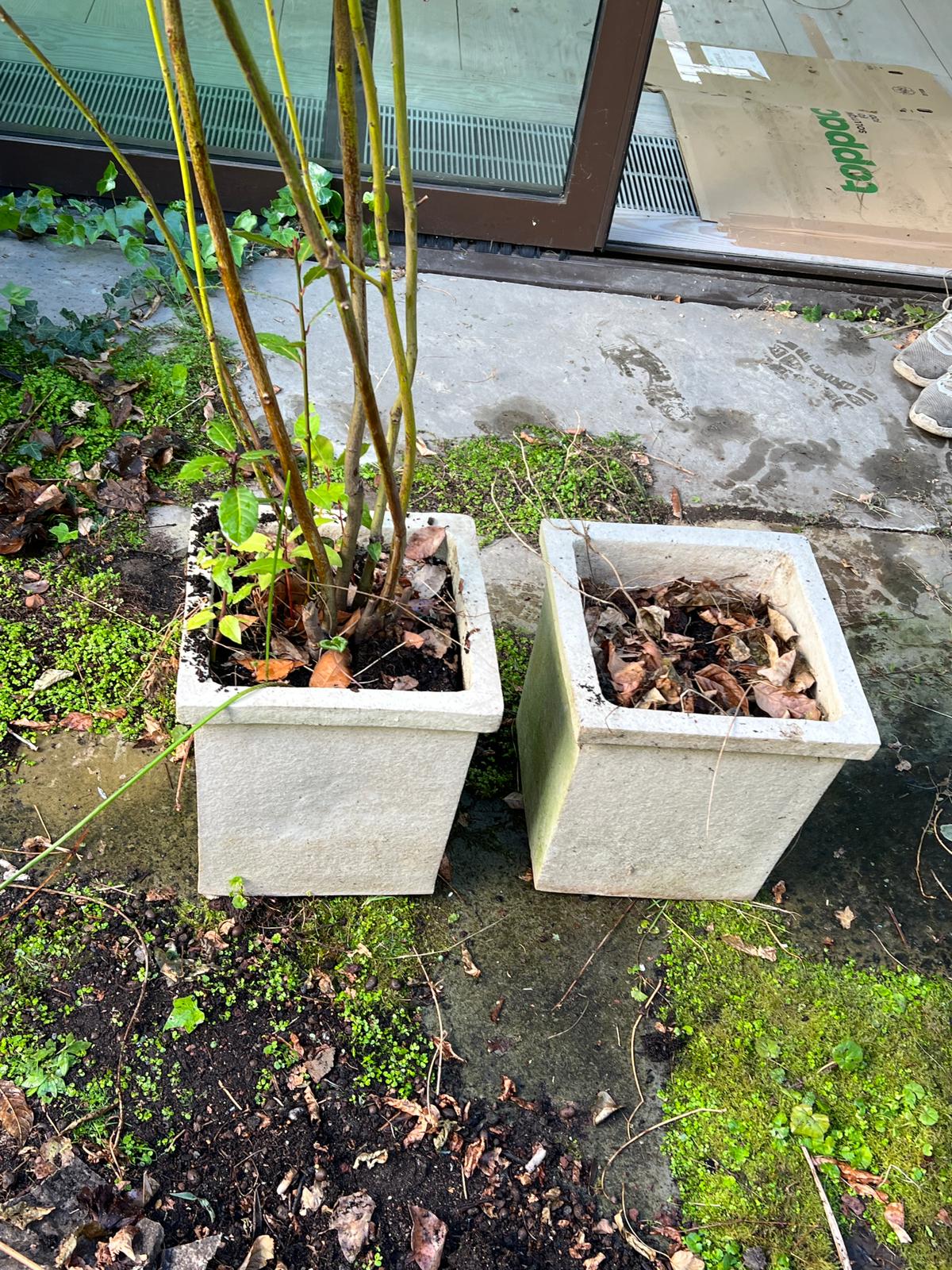 A pair of square planters (H34cm SQ31cm) - Image 4 of 6
