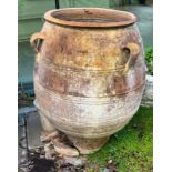 A large olive pitcher terracotta urn with three handles AF (H102cm Dia58cm) Condition Report