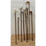 A selection of walking sticks, staffs and crooks