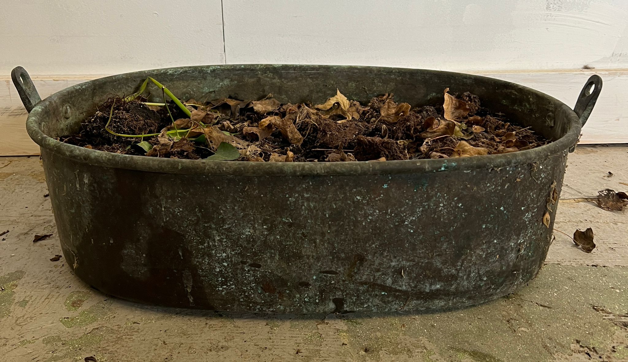 A weathered copper pan used as a planter (H20cm W60cm)