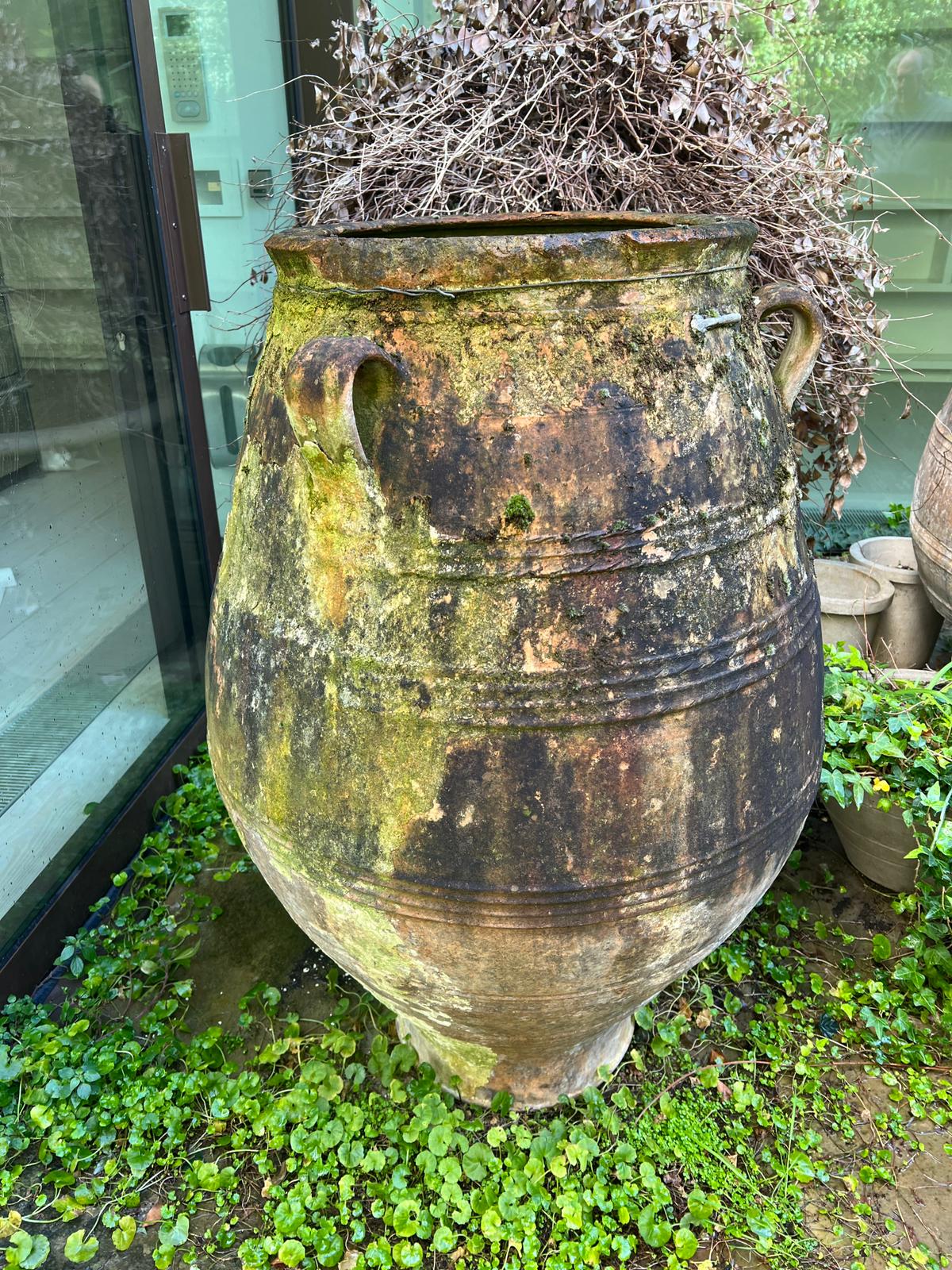 A large olive pitcher terracotta urn with three handles (H112cm Dia47cm) Condition Report - Image 8 of 8