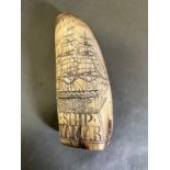 A Scrimshaw walrus tusk dated 1861 and with the Ship Tamar to one side and a planter to the other.