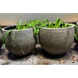 A pair of garden pots/planters fluted wave pattern (H45cm Dia50cm)