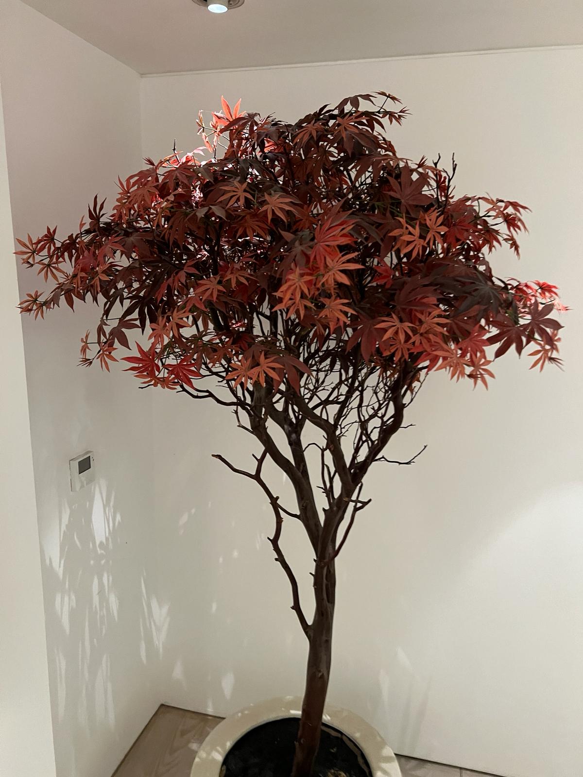 An artificial tree in white pot H200cm - Image 3 of 3