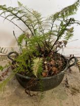 A weathered copper pan used as a planter (H13cm W55cm handle to handle)