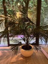 A artificial palm plant in white pot