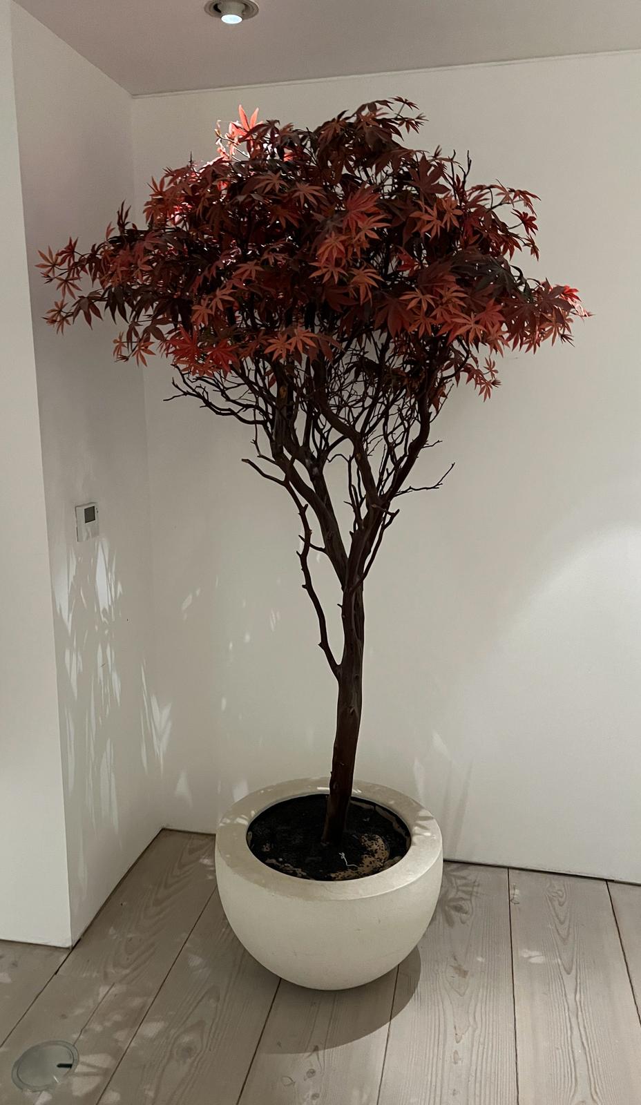 An artificial tree in white pot H200cm