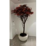 An artificial tree in white pot H200cm