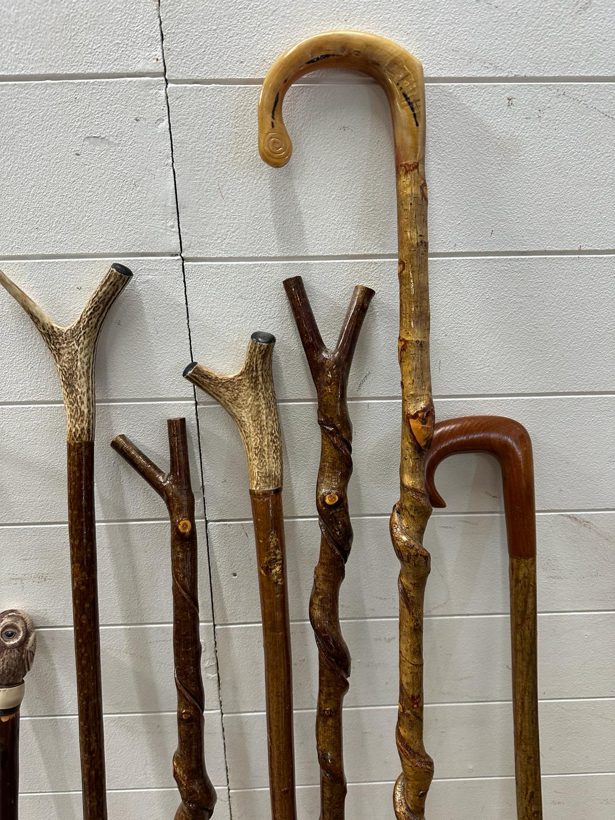 A selection of walking sticks, staffs and crooks - Image 6 of 6
